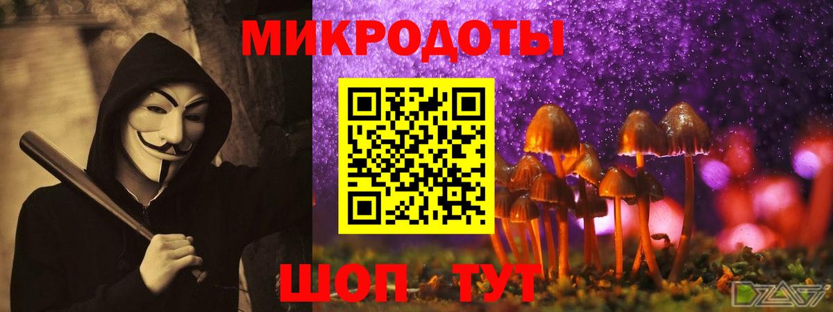 Галлюциногенные грибы Cubensis  Галлюциногенные грибы прущие грибы  Вход с VPN  Долгопрудный 